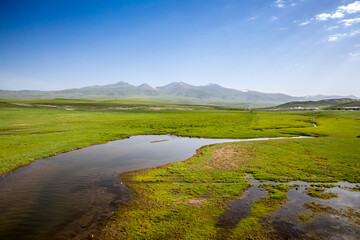Fototapeta premium Bayanbulak Grassland is the second largest grassland in China. It is located in the Bayanbulak Basin of the Tian Shan Mountains in northwestern China.