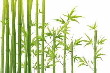 Bamboo Forest Illustration