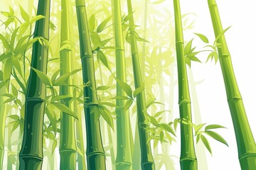 Fototapeta premium A Lush Bamboo Forest Illustration