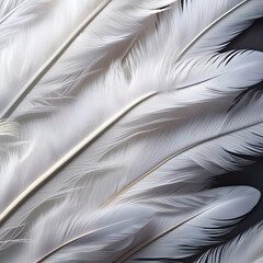 Fototapeta premium Serene White Feathers Texture