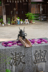 川越八幡宮の紫陽花（あじさい） SAITAMA JAPAN KAWAGOE