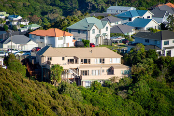Obraz premium Residential Houses in Wellington - New Zealand