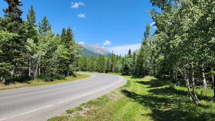 Naklejka premium road in the mountains