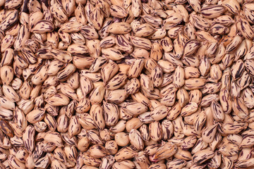 Several tiger nuts (Striped peanut) texture background, top view, flat lay.