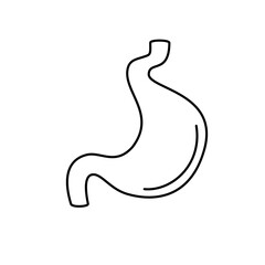 The stomach is an important internal organ used to digest food to nourish the body.vector
