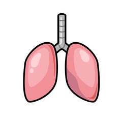 The lungs are an organ within the body that receives oxygen from the air into the body.