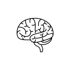 The brain is an important internal organ used to remember and control the body.vector