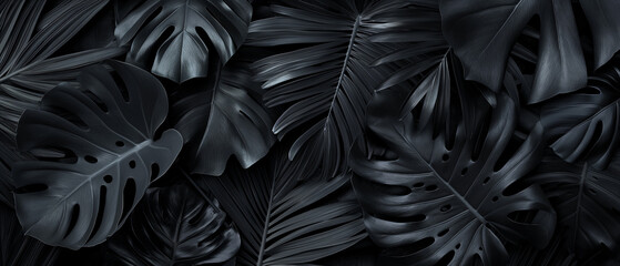 Vivid Black Tropical Leaves on Minimalist Background