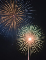 Obraz premium fireworks in the night sky