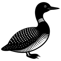Arctic Loon bird stands icon vector silhouette