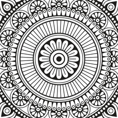 color abstract mandala flower design vector