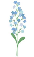 flower isolated on white background