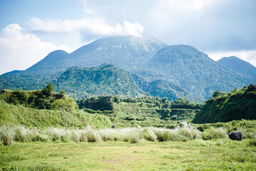 green savana with a mountain background