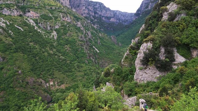 An aerial view of the Vikos Gorge in Greece, showcasing the steep, rocky cliffs and lush greenery.