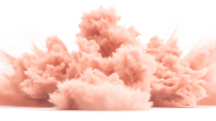 Dry Soil explosion with dirt and cloud smoke. Isolated on white background. Dirty ground abstract spread with flying particles