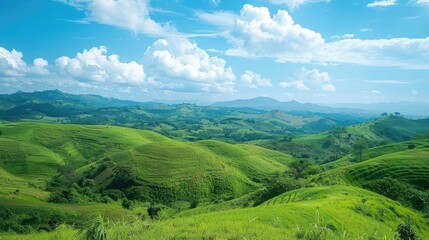Fototapeta premium Rolling hills with a panoramic view of lush greenery and blue sky