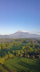 morning view of semeru mountain with a ricefield