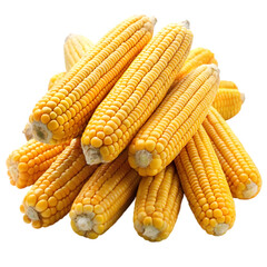 Corn cobs pile isolated on transparent background