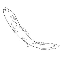 Continuous line drawing of a electric eel isolated on white background. Hand drawn doodle vector illustration.