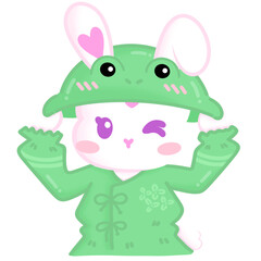 lovely bunny with frog costume 