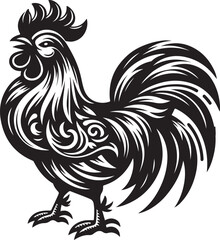 rooster isolated on white background