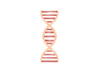 Hand-drawn watercolor illustration of a DNA symbol isolated on a white background.