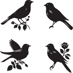 Collection of birds' black silhouette vector illustration and hand-drawn image.