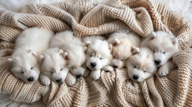 A group of puppies are sleeping on a blanket. The blanket is white and fluffy. The puppies are all different sizes and are snuggled up together