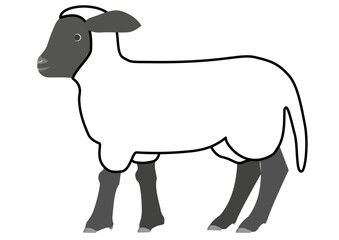 Line art of a Suffolk lamb seen from the side