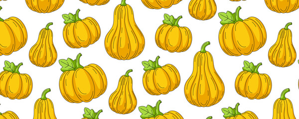 Pumpkin and butternut squash, vegetables seamless pattern, isolated white background. Veggies colorful vector icons set, horizontal banner. For cover, wrapping paper, textile print