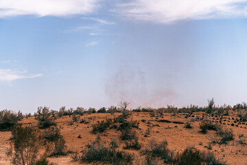 A desert landscape with a blue sky and a few trees. The sky is clear and the sun is shining brightly