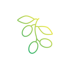 Obraz premium Spinach vector icon