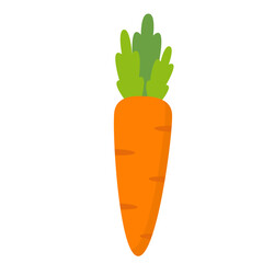 Healthy Vegetable Illustration