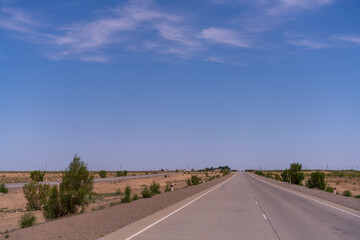 A long, empty road with a blue sky above. The road is lined with trees and there are no cars or people on it