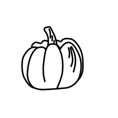 Handdrawn pumpkin outline