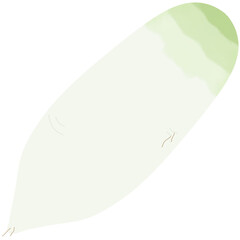 김치 무 일러스트