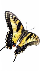 Fototapeta premium A butterfly with black and yellow wings is flying in the air. The butterfly is the main focus of the image, and it is in motion. The image has a sense of freedom and lightness
