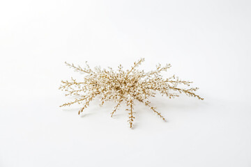 Dried White Flower Bouquet on White Background