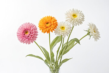 Fototapeta premium Colorful Gerbera Daisies in a Vase