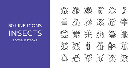 Insects icon set vector illustration stroke editable. bugs, ant, spider and more