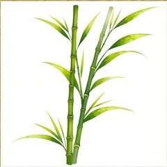 たなばた用竹のイラスト(3)