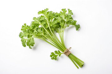 Fresh Parsley Sprigs Isolated On White Background
