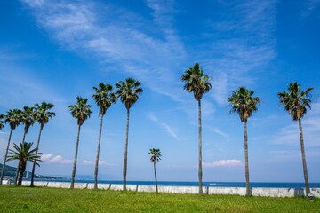 淡路島浦海浜公園