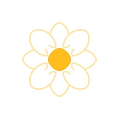 yellow flower on white background