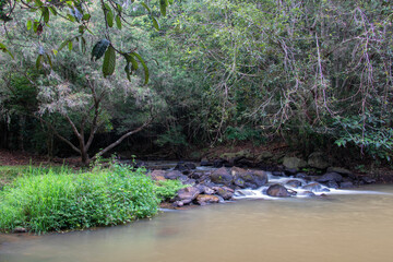the tranquil Peterson walking track in Yungaburra, Queensland, renowned for lush rainforest, birdwatching, and serene nature trails