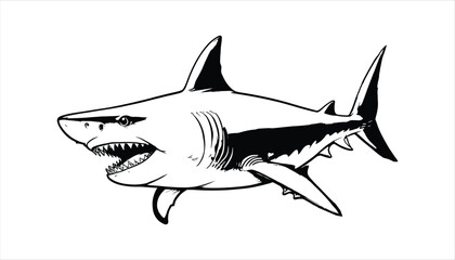 Shark clipart comic. Shark graphic tshirt. SHARK print design for streetwear fashion as vector with Shark drawing.
