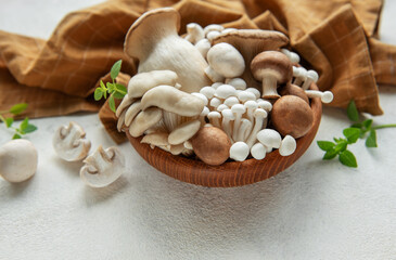 Assortment of various mushrooms