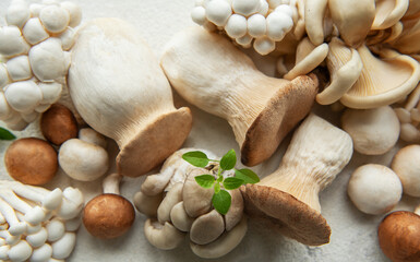 Assortment of various mushrooms