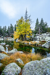 Obraz premium Autumn at the beautiful mountain lake