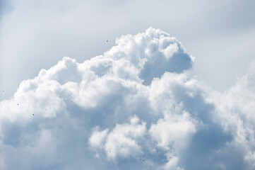 Beautiful clouds on a sunny day and swallows in the distance.